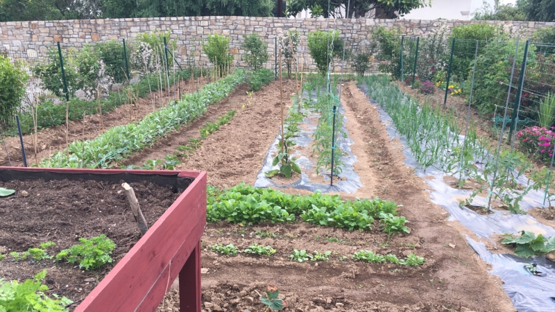 Jardins familiaux