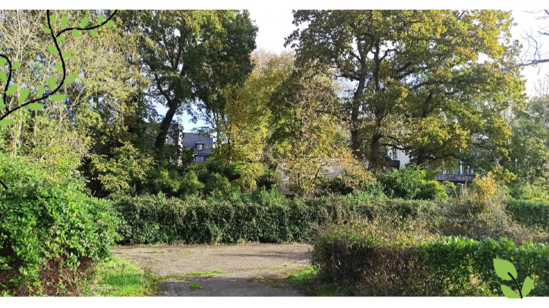 Restitution projet – devenir de l’ancien camping municipal