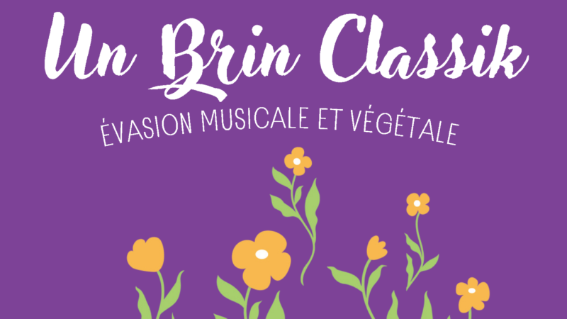 Un brin classik – 7 juin 2026