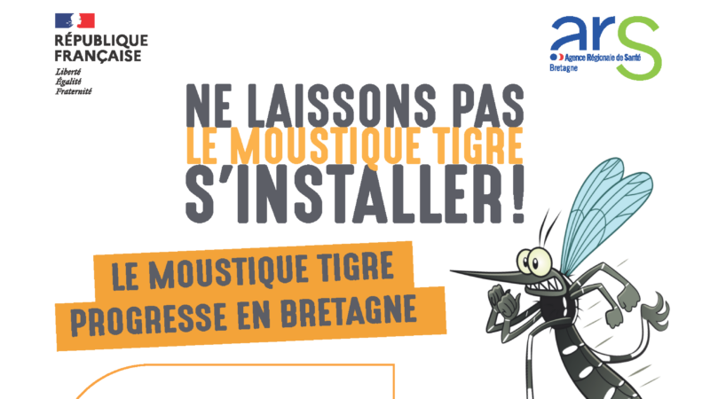 ATTENTION -NE LAISSONS PAS LE MOUSTIQUE TIGRE S&rsquo;INSTALLE