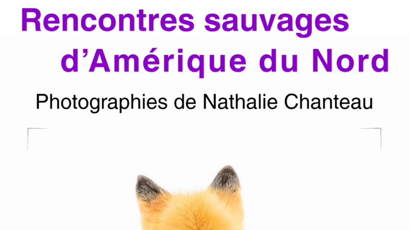Exposition à la médiathèque – Rencontres sauvages d&rsquo;Amérique du Nord